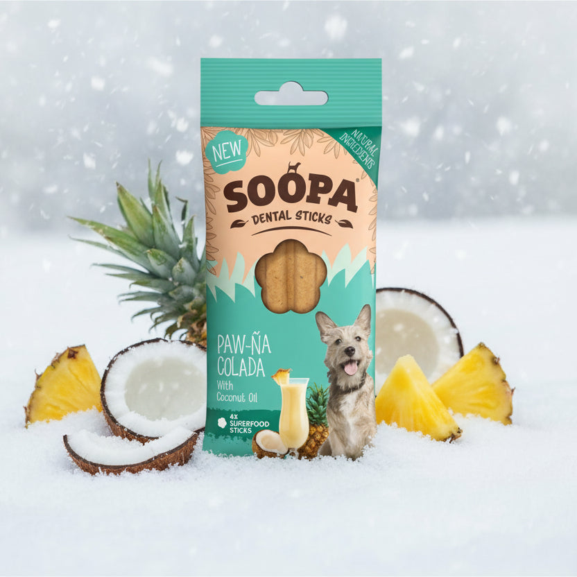 Soopa Pets vegane Dental Sticks Paw-Na Colada bei Fairtails