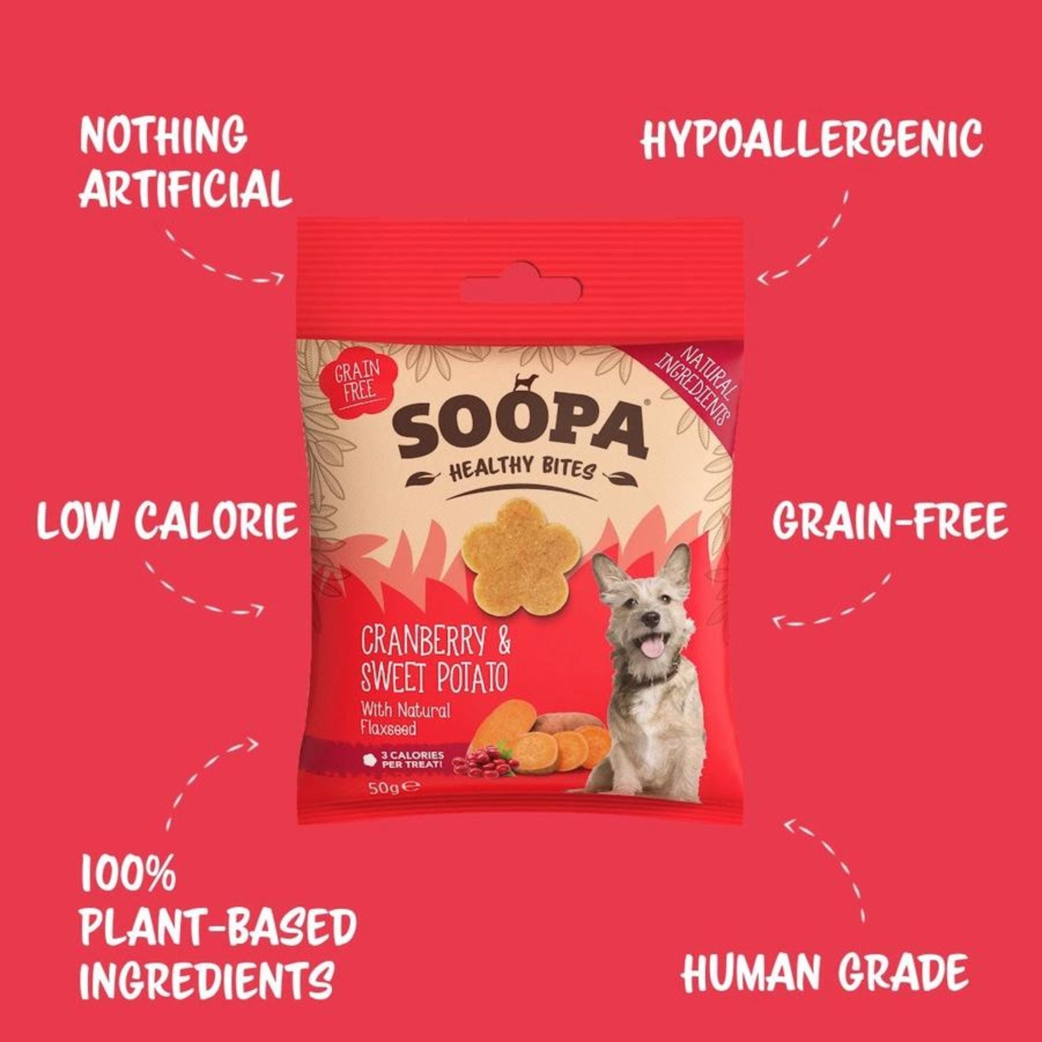 Soopa Pets Healthy Bites - vegane Hundeleckerli mit Cranberry & Süßkartoffel