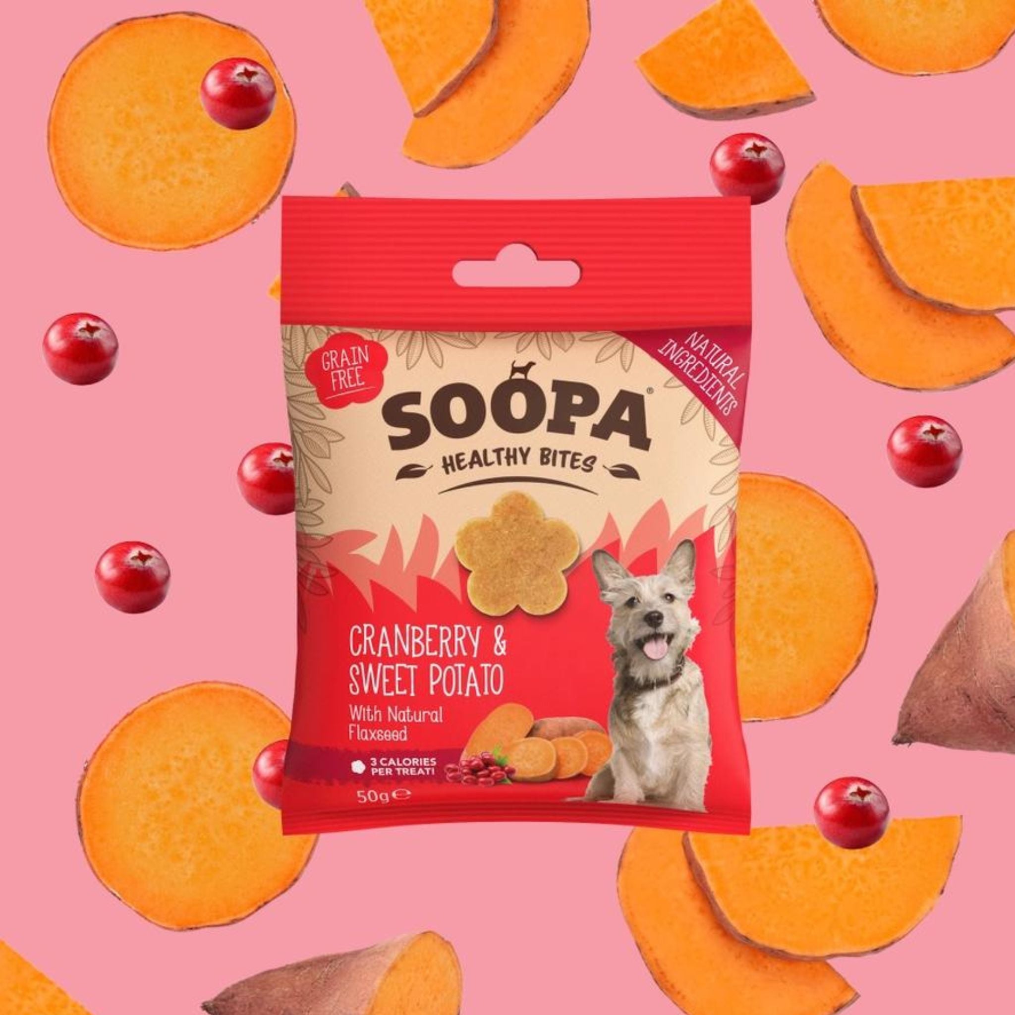 Soopa Pets Healthy Bites - vegane Hundeleckerli mit Cranberry & Süßkartoffel