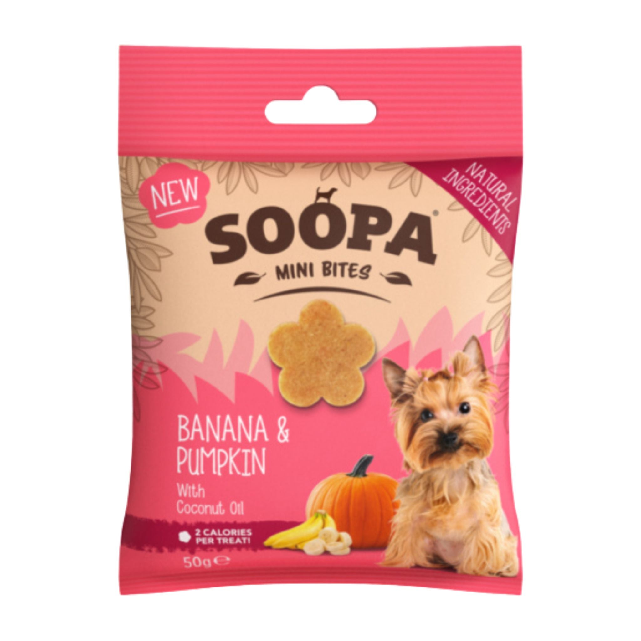 Soopa Pets Mini Healthy Bites - vegane Hundeleckerli mit Banane-Kürbis Fairtails