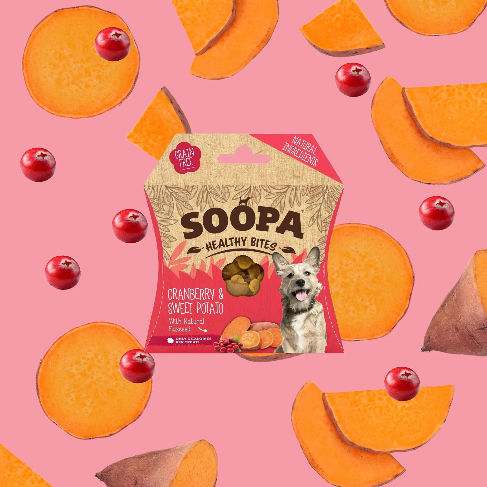 Soopa Pets Healthy Bites - vegane Hundeleckerli mit Cranberry & Süßkartoffel