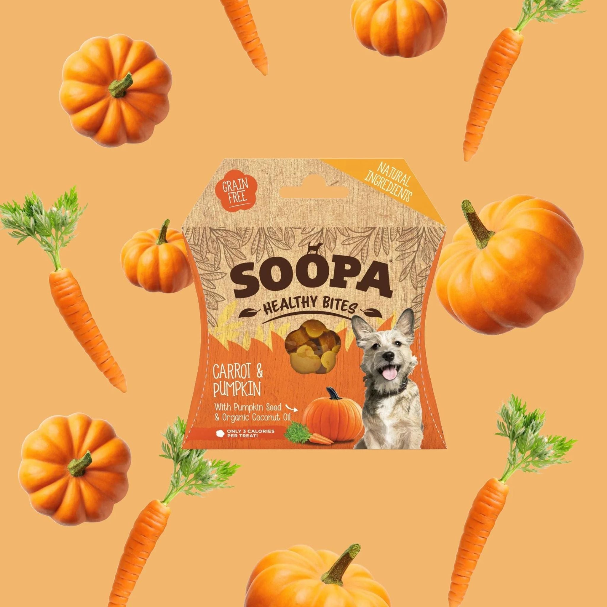 Soopa Pets Healthy Bites - vegane Hundeleckerli mit Kürbis und Karotte