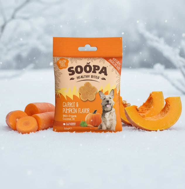 Soopa Pets Healthy Bites - vegane Hundeleckerli mit Kürbis und Karotte