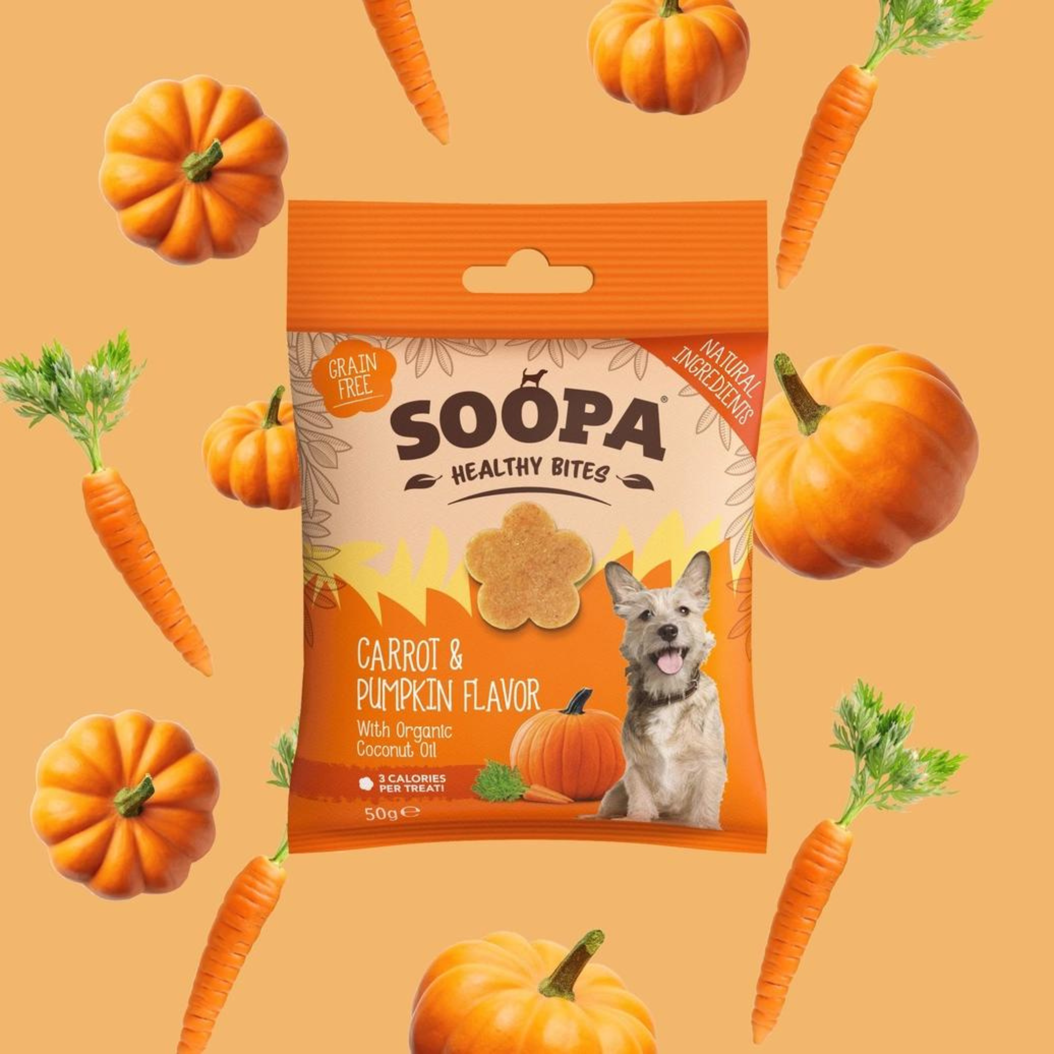 Soopa Pets Healthy Bites - vegane Hundeleckerli mit Kürbis und Karotte