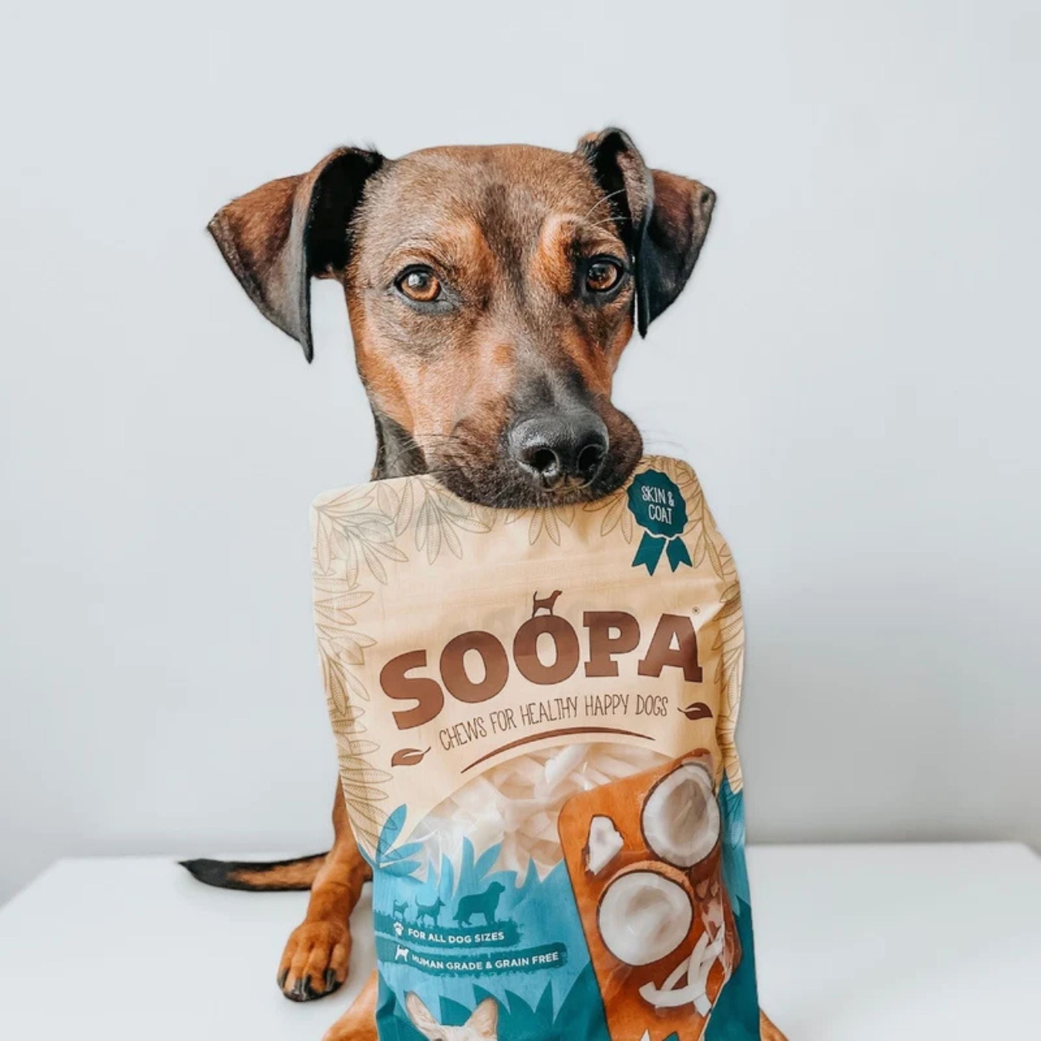 soopa pets healthy chews - Kokosstreifen für Hunde bei Fairtails