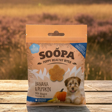 Soopa Pets Puppy Healthy Bites Banane und Kürbis - vegane Leckerli für Welpen (50g)