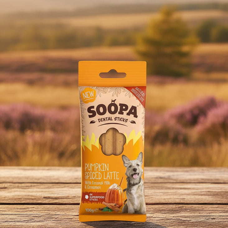Soopa Pumpkin Spiced Latte Dental Sticks - limited Edition (100g)