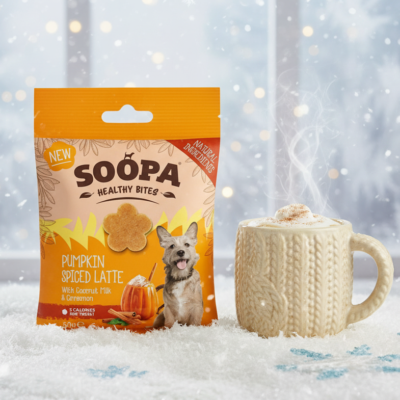 Soopa Pumpkin Spiced Latte Healthy Bites - limited Edition (50g)