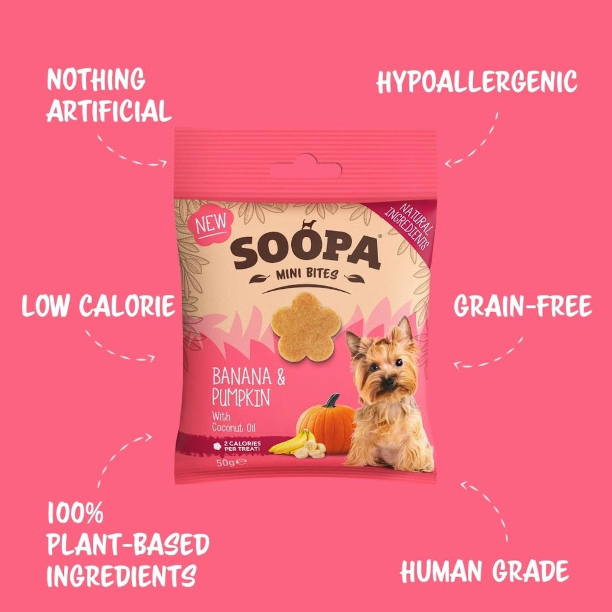 Soopa Pets Mini Healthy Bites - vegane Hundeleckerli mit Banane-Kürbis Fairtails