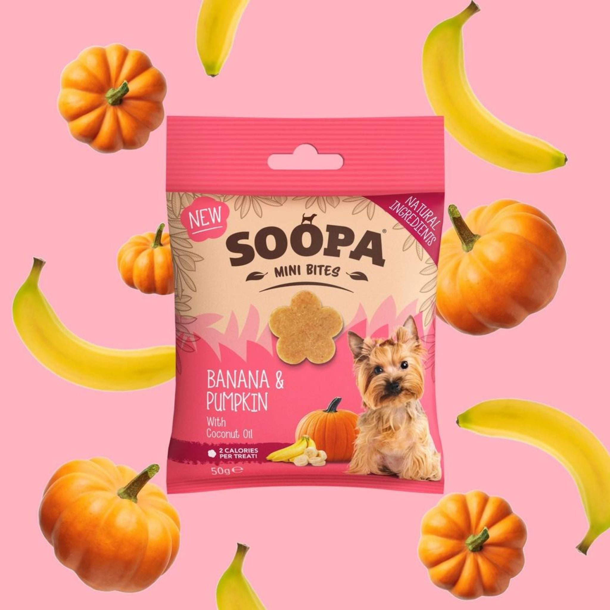 Soopa Pets Mini Healthy Bites - vegane Hundeleckerli mit Banane-Kürbis Fairtails