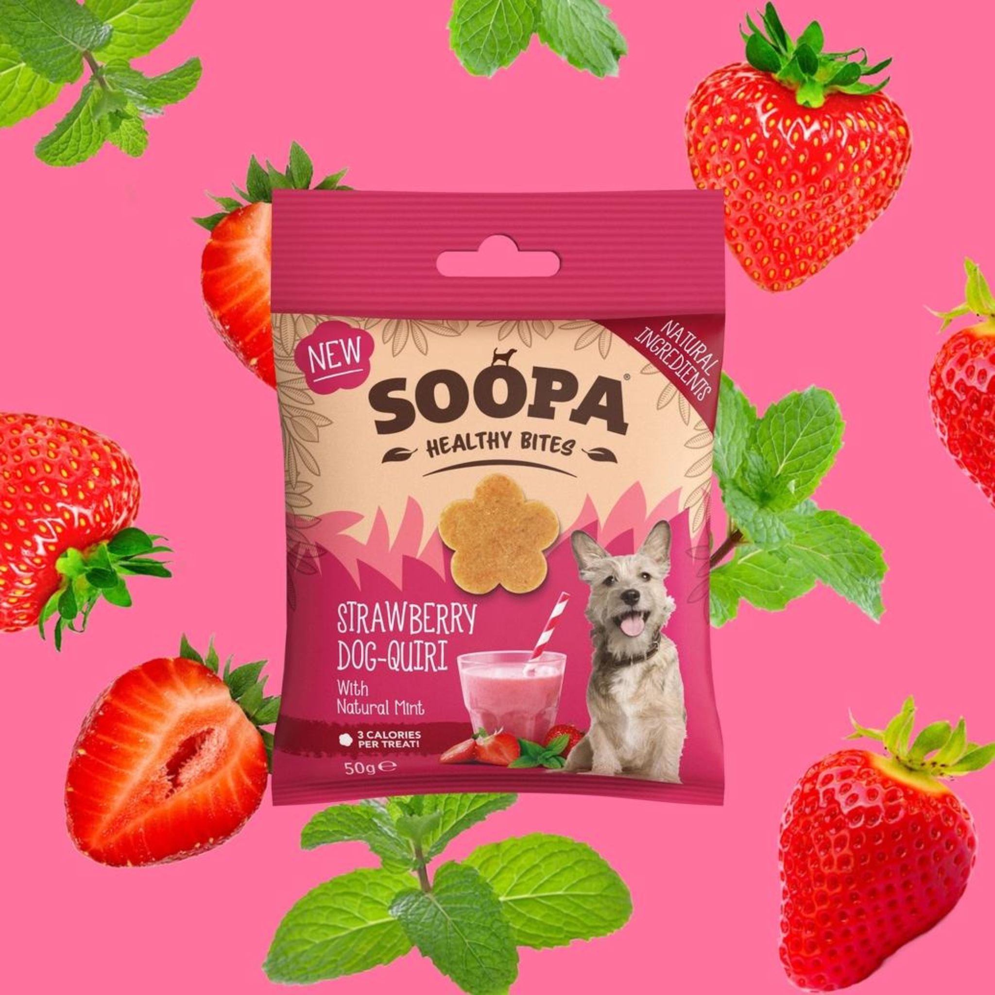 Soopa Pets Dog-Quiri Healthy Bites - vegane Hundeleckerli mit Erdbeere und Kokos