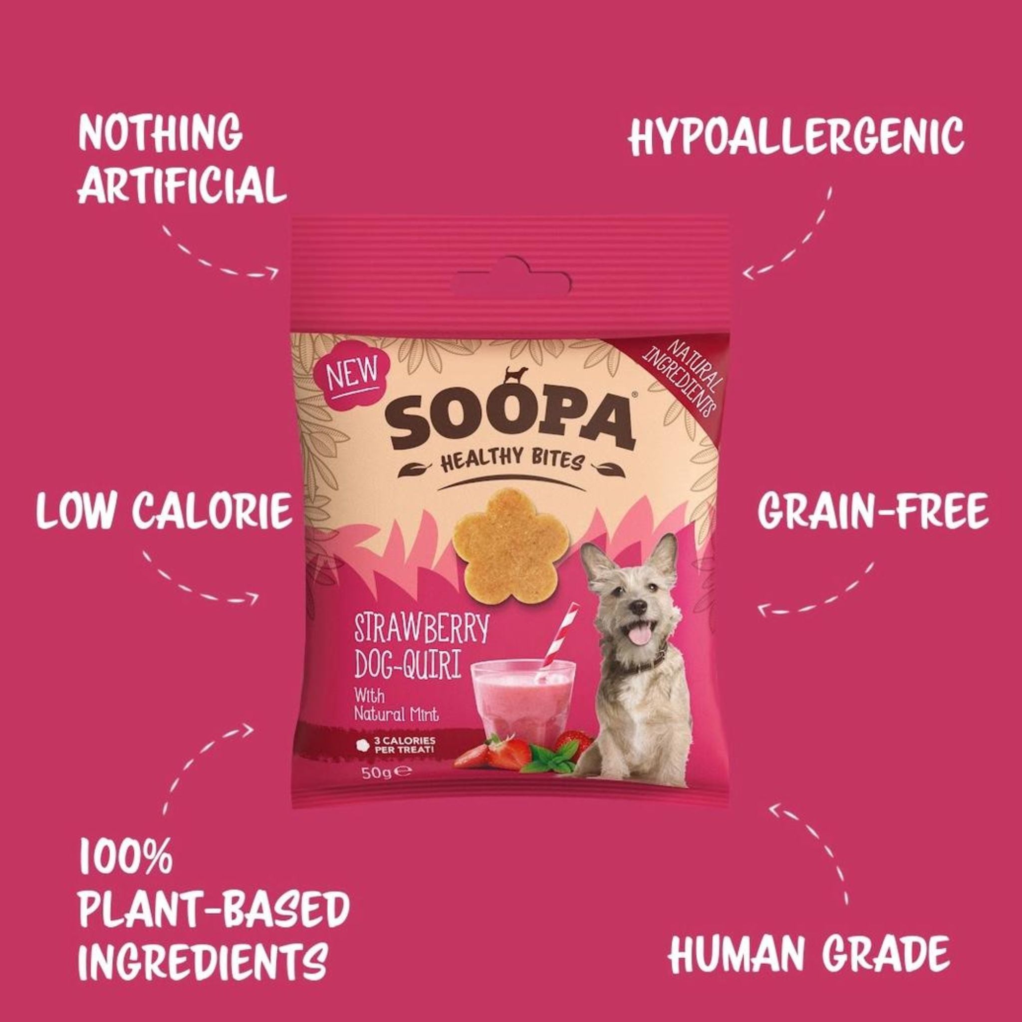 Soopa Pets Dog-Quiri Healthy Bites - vegane Hundeleckerli mit Erdbeere und Kokos