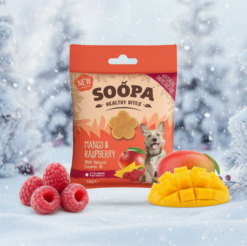 Soopa Pets Healthy Bites - vegane Hundeleckerli mit Mango und Himbeere (50g)