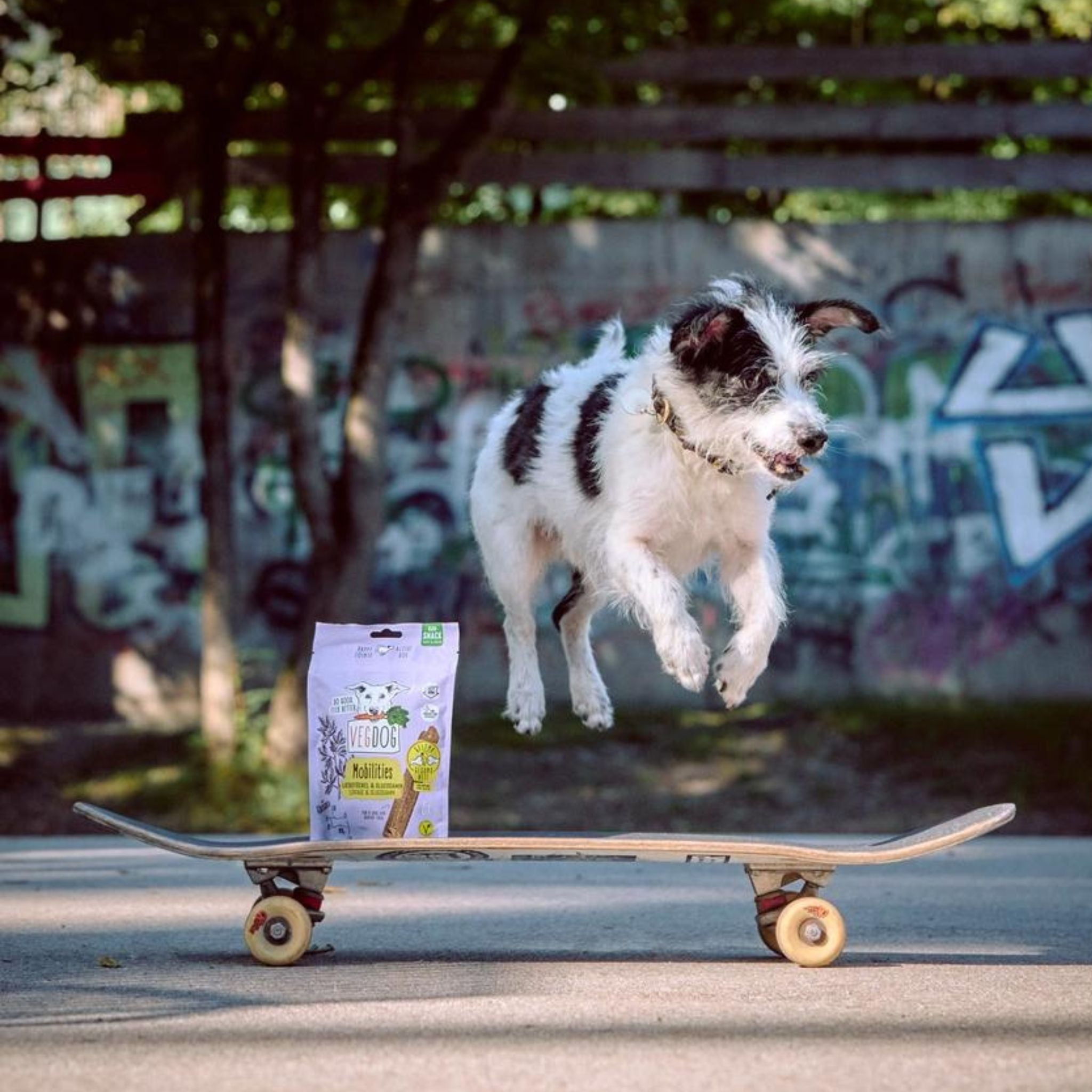 VEGDOG Mobilities - vegane Kauartikel für Hunde - Fairtails