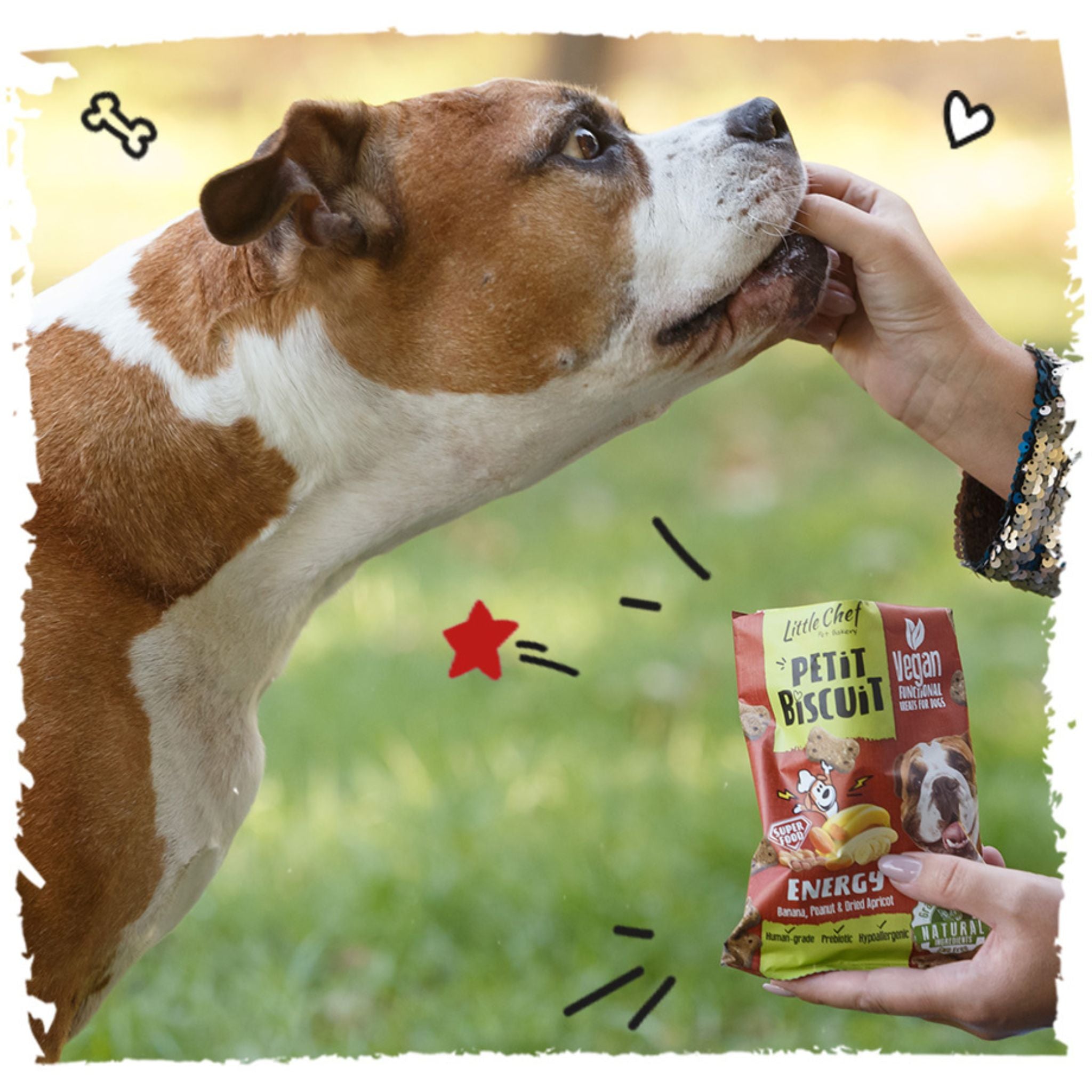 Little Chef Energy Hundekekse vegane Hundekekse mit Erdnuss, Apfel und Banane bei Fairtails