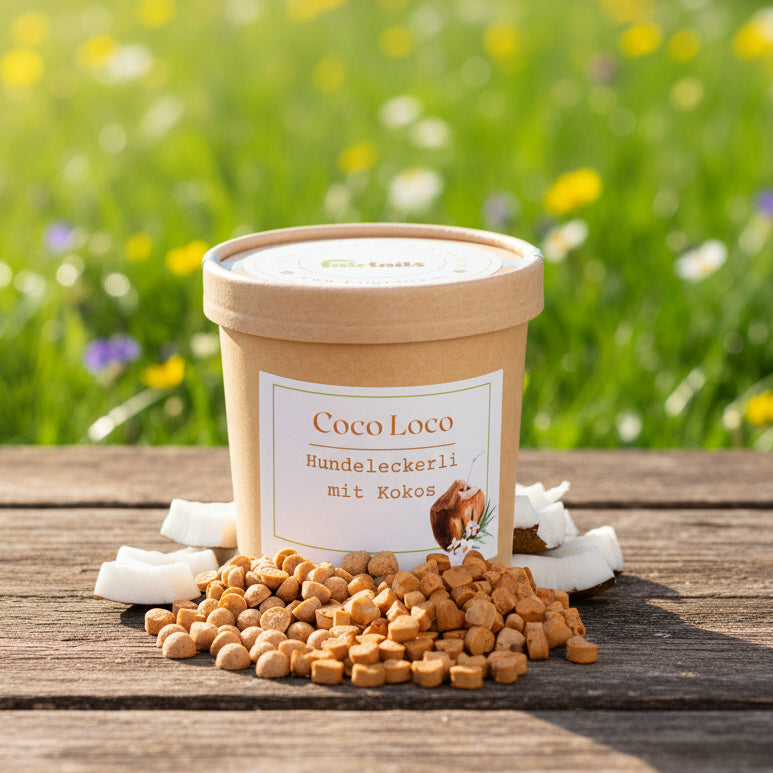 Vegane Hundeleckerli vegane Hundekekse Kokos bei Fairtails