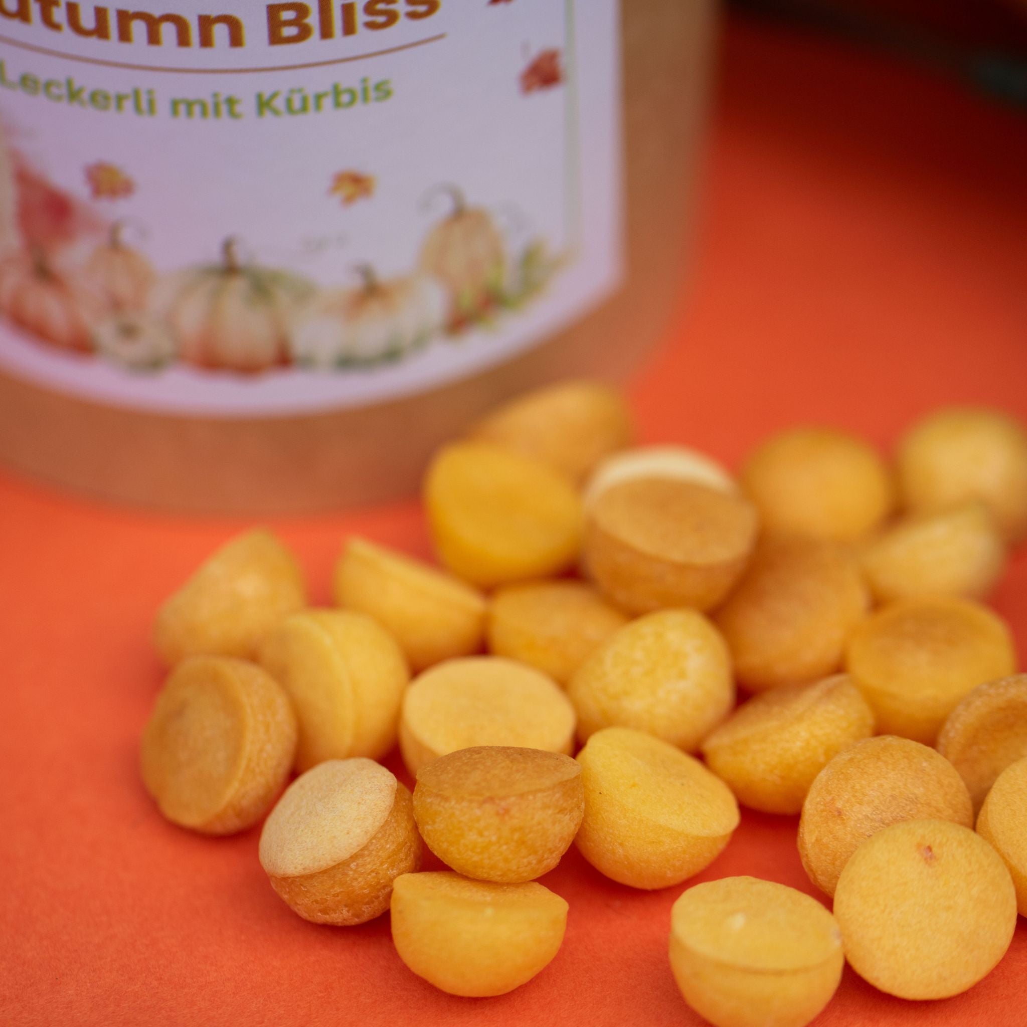Vegane Hundeleckerli Kürbis bei Fairtails