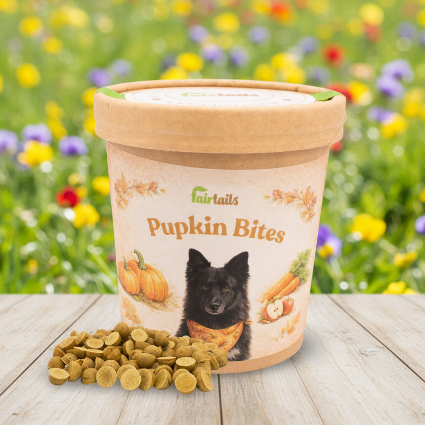 Vegane Hundeleckerli aus Kürbis bei Fairtails