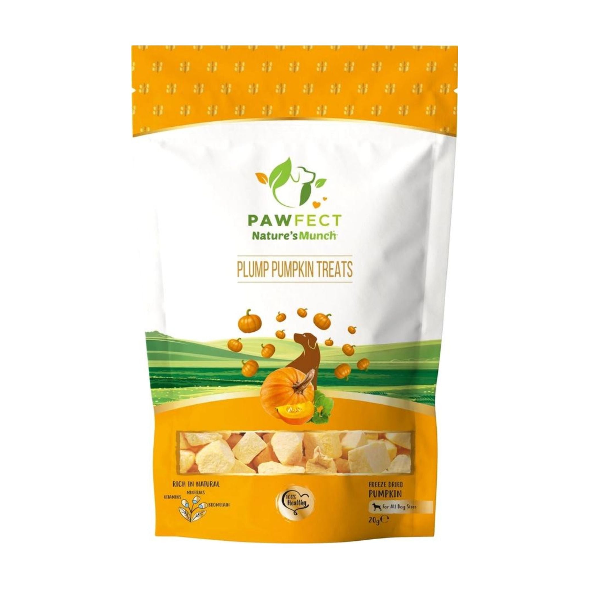 Pawfect Nature´s Munch Plump Pumpkin Treats - Hundeleckerli aus Kürbis (20g)