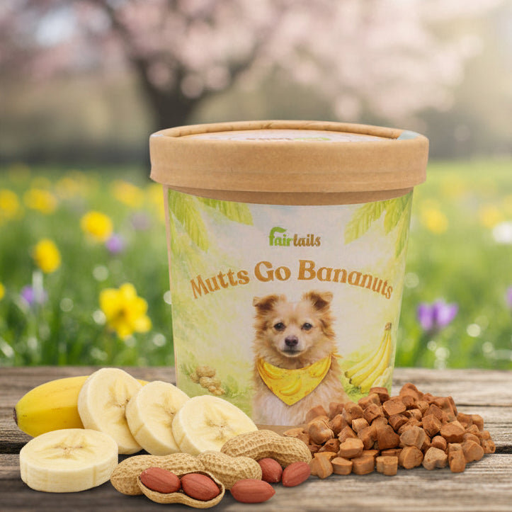 Vegane Hundeleckerli mit Banane und Erdnuss bei Fairtails