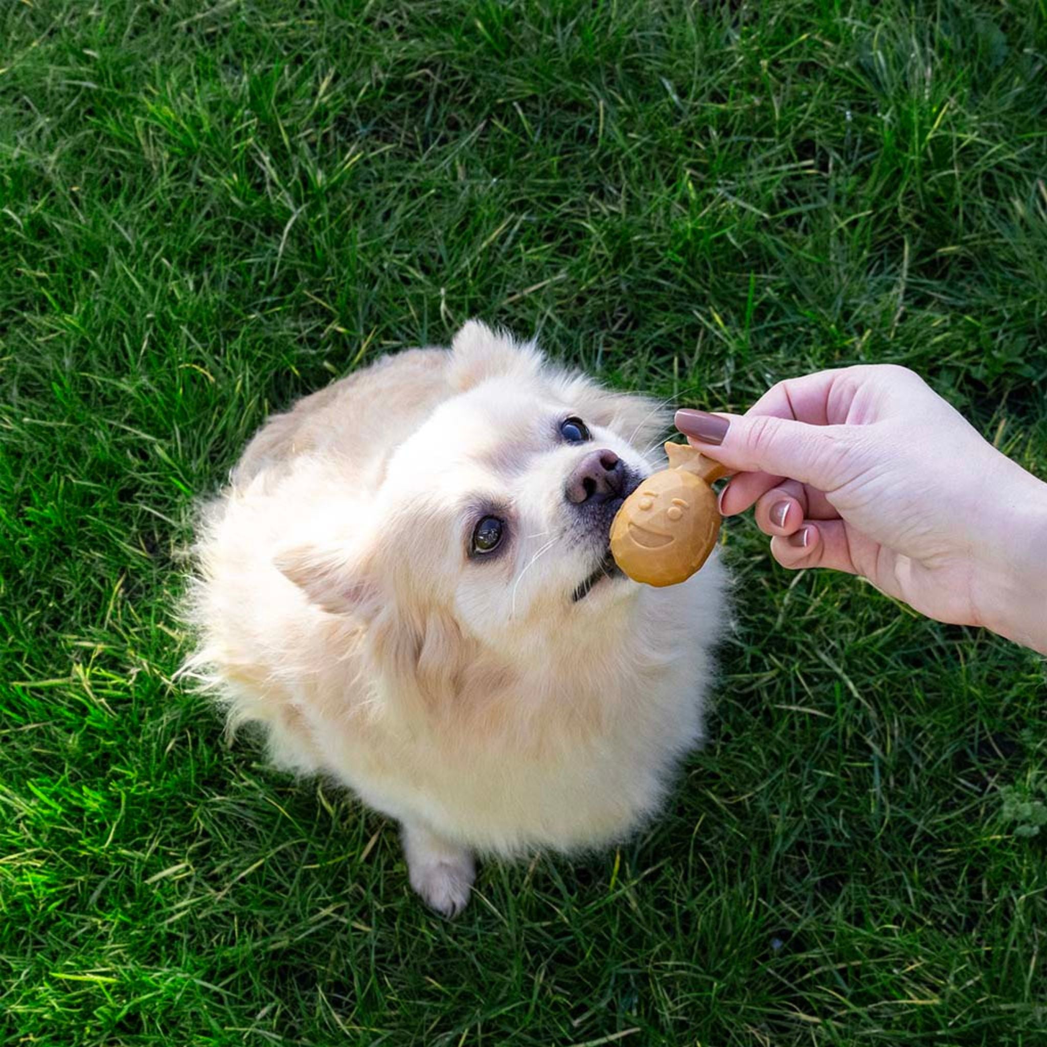 Fruity Buddies vegane Kauartikel Hund bei Fairtails
