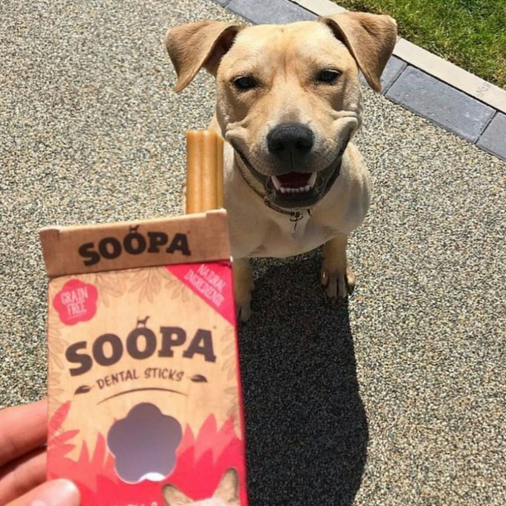 Soopa Dental Sticks Preiselbeere Süßkartoffel- vegane Kauartikel Hund bei Fairtails