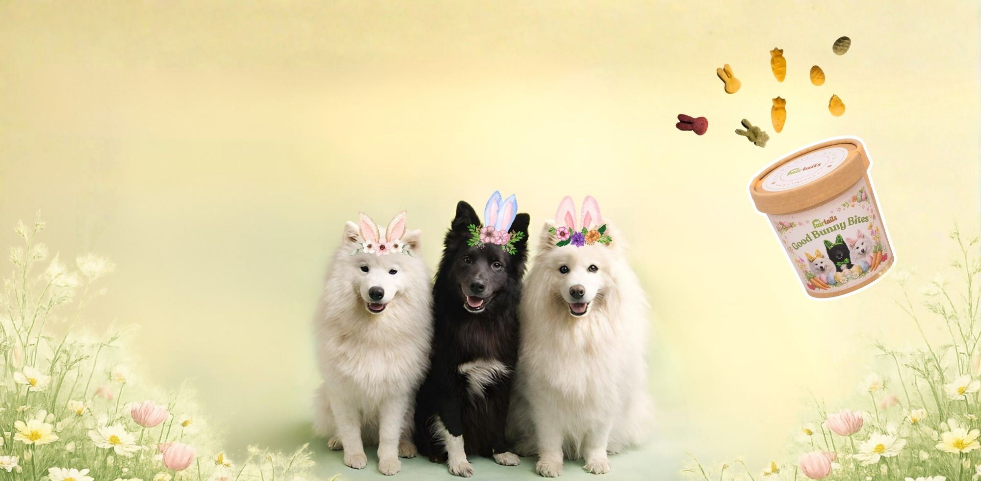 Fairtails veganer Hundeshop - vegane Kauartikel und Hundeleckerli