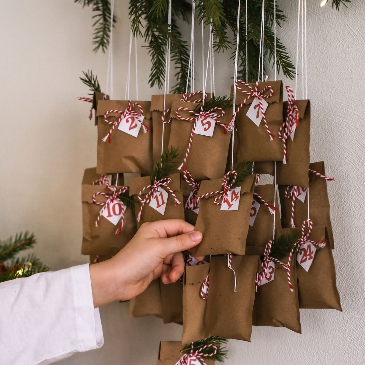 Premium Festbox - Adventsbox für Hunde voller Kausnacks und Kekse