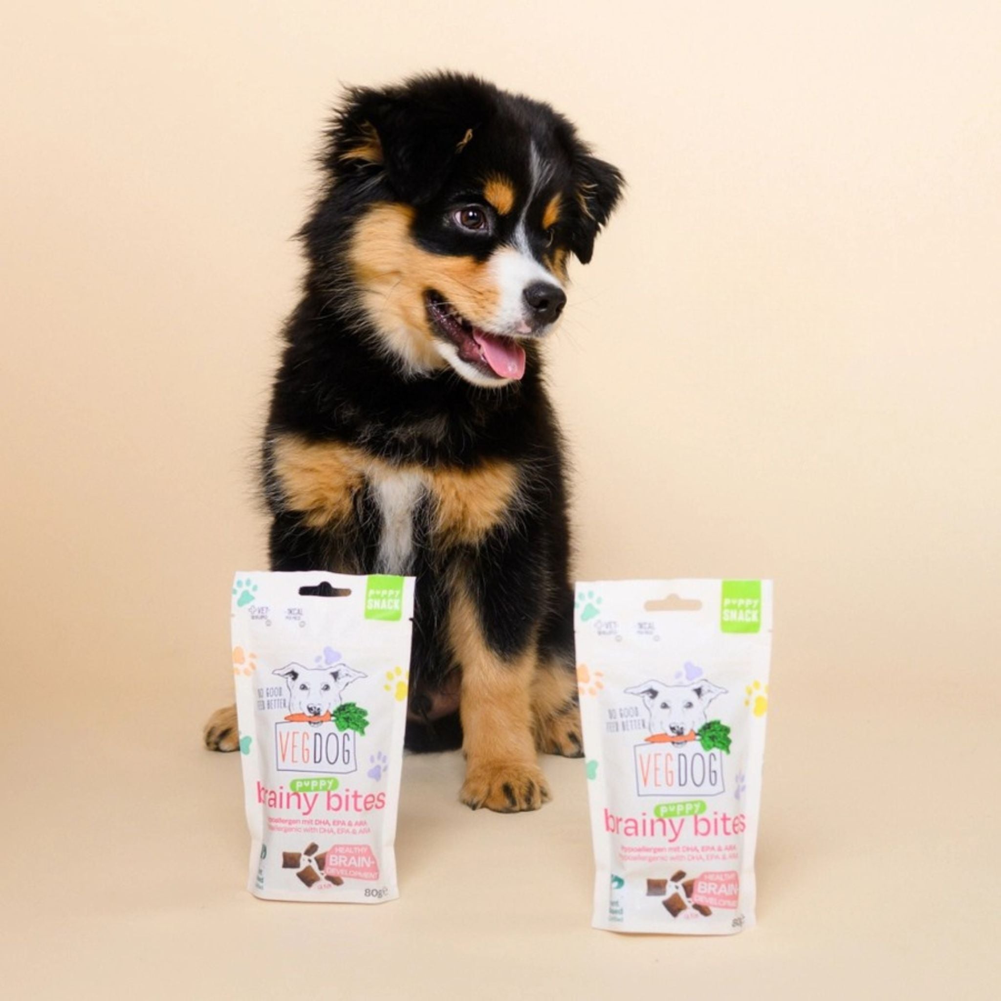 Vegdog Brainy Bites - vegane Hundleckerli für Hunde bei Fairtails