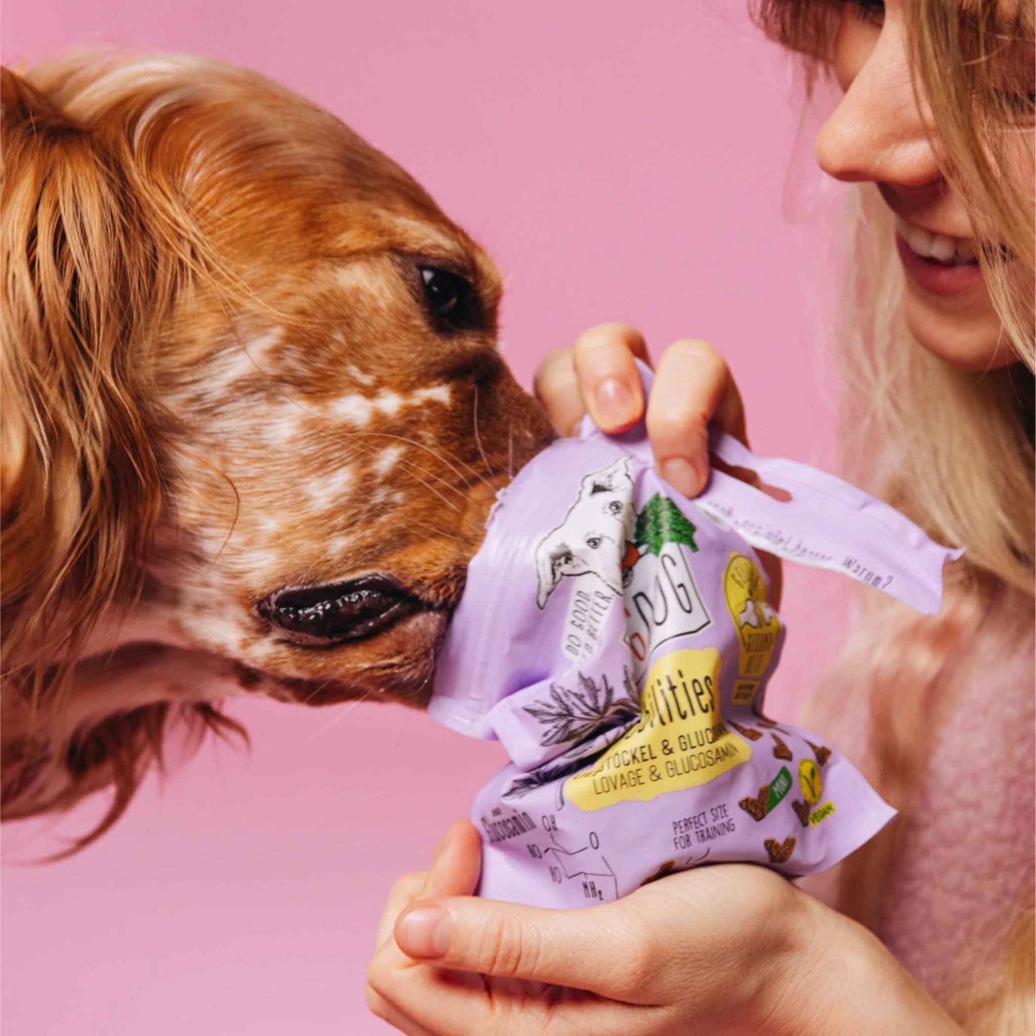 Vegdog Mobility Mini - vegane Hundelckerli bei Fairtails