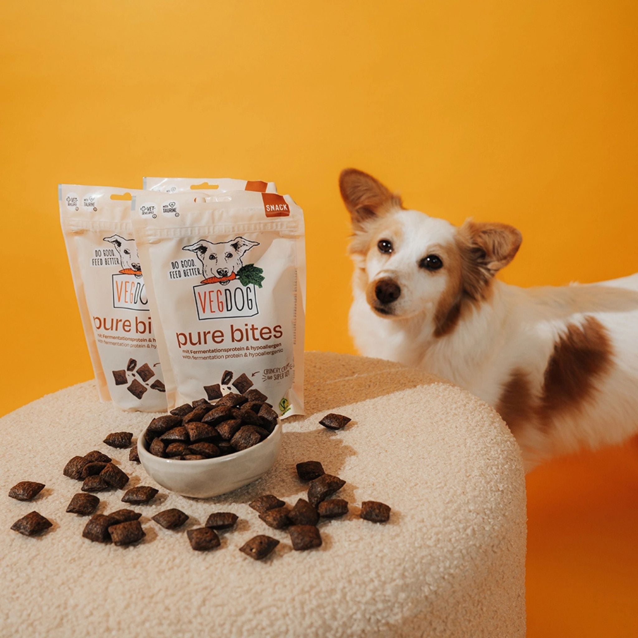 Vegdog Pure Bites vegane Hundeleckerli bei Fartails