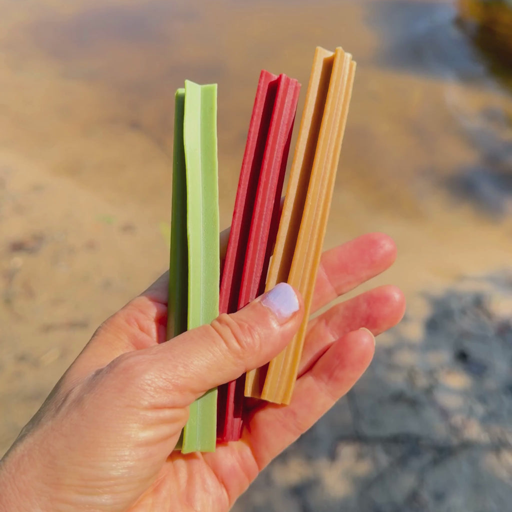 Flamingo Go Veggie Hundekausticks Small - vegane Kausticks
