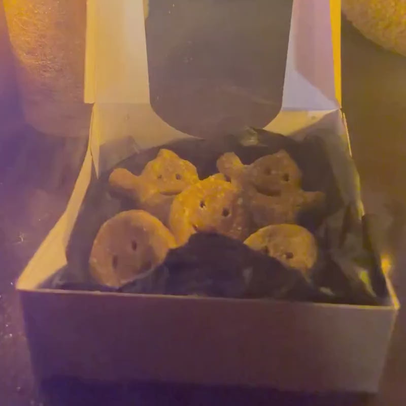 Vegane Hundekekse - Ghosties Halloween bei Fairtails