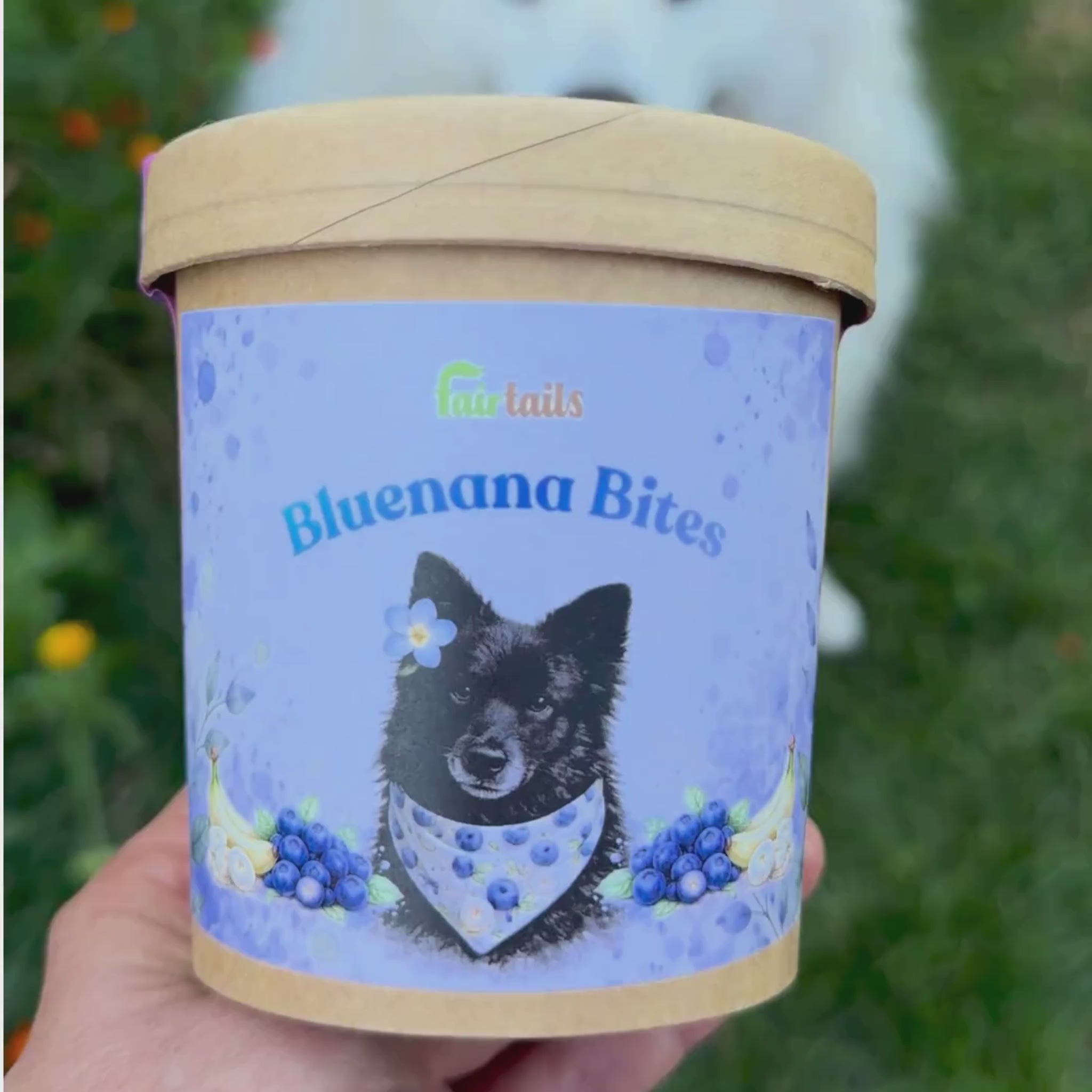 Vegane Hundeleckerli bei Fairtails - vegane Hundekekse für Allergiker