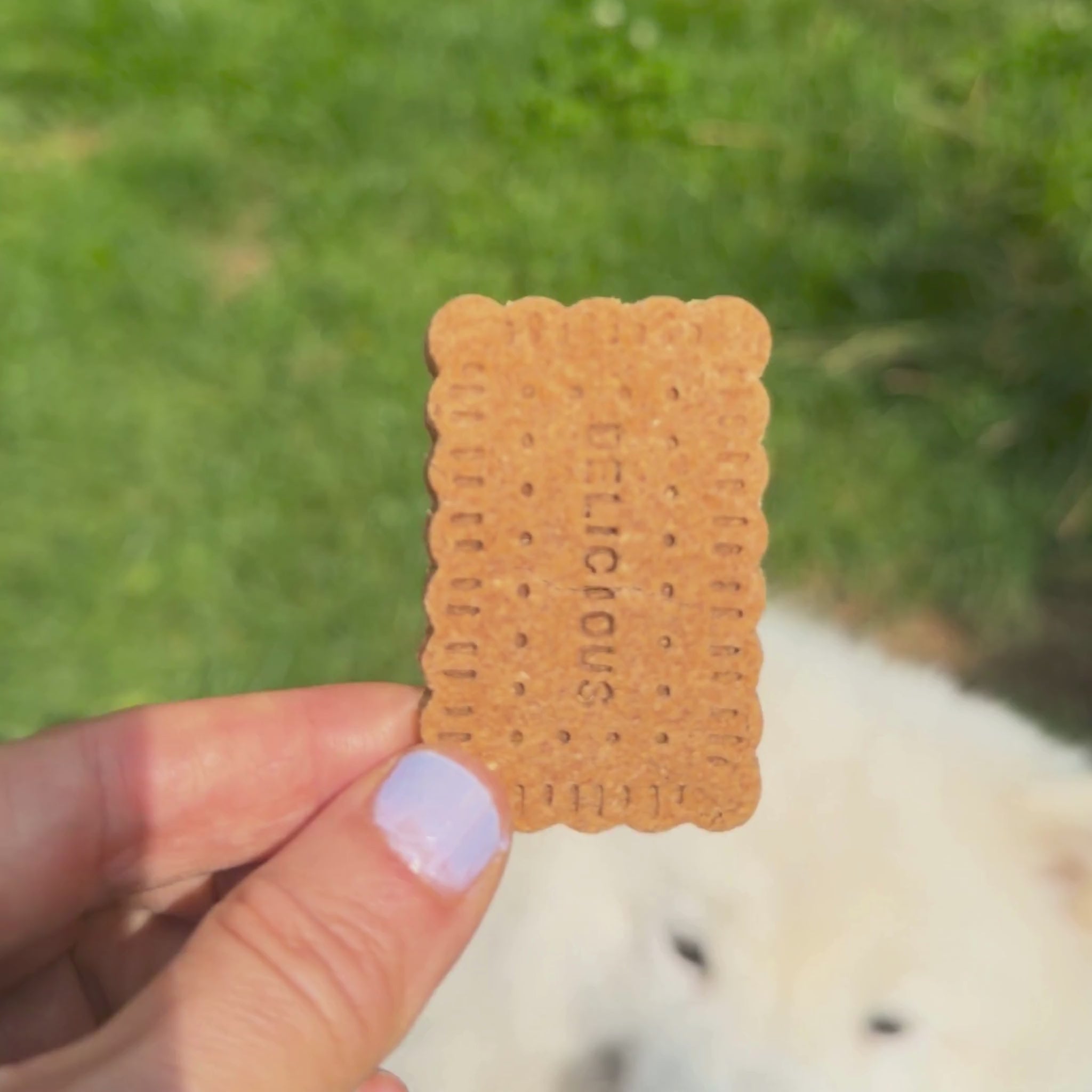Erdnuss Banane Hundekekse bei Fairtails - vegane Hundeleckerli