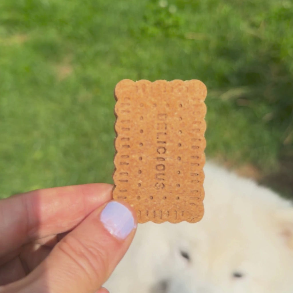 Erdnuss Banane Hundekekse bei Fairtails - vegane Hundeleckerli