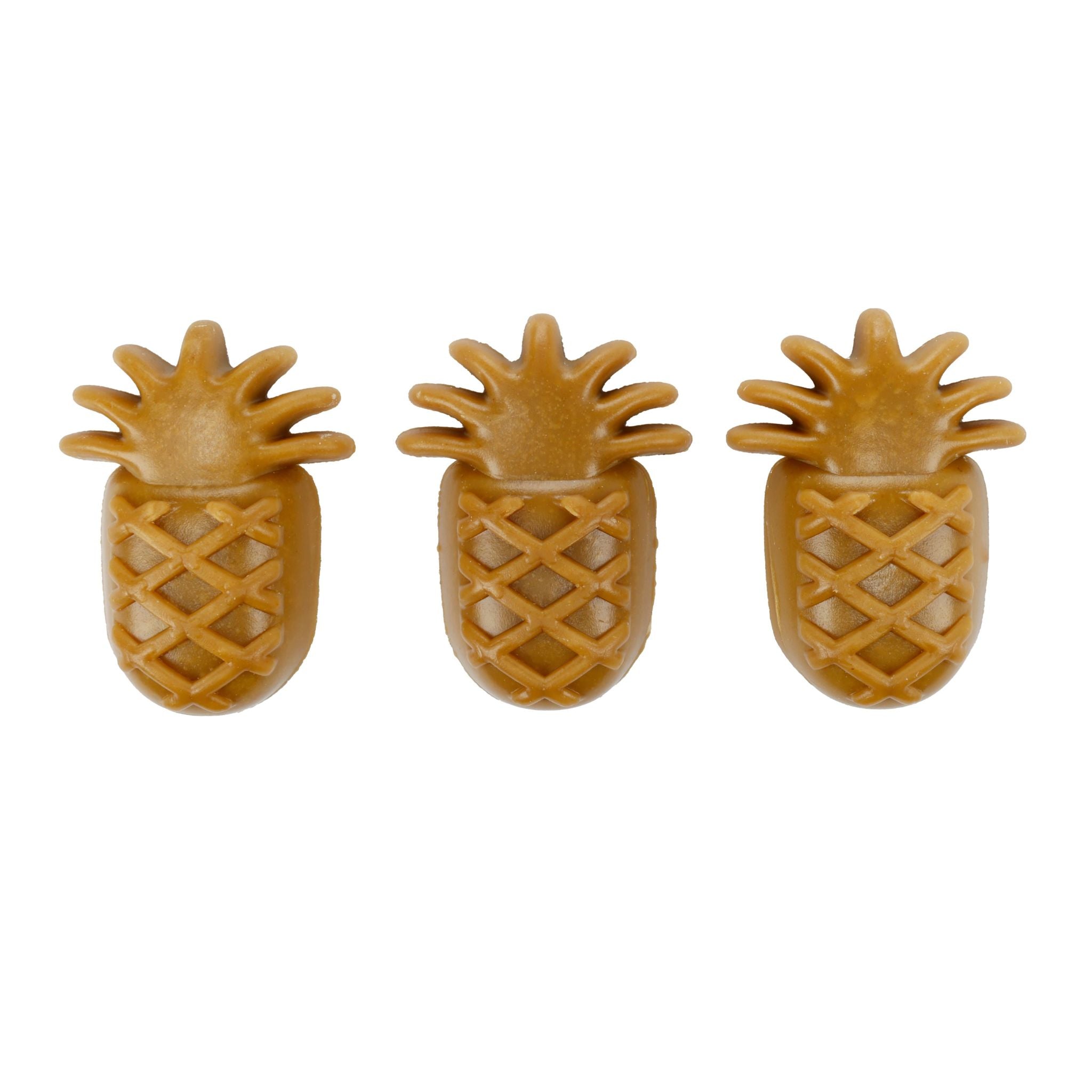flamingo veganer Hundesnack Ananas bei Fairtails