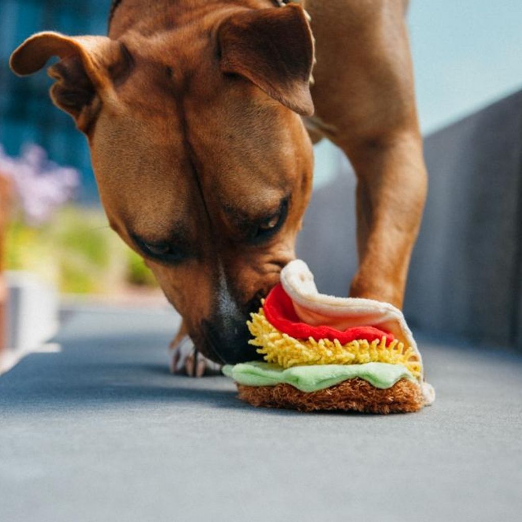 P.L.A.Y. Hundespielzeug Taco - Hundespielzeug bei Fairtails