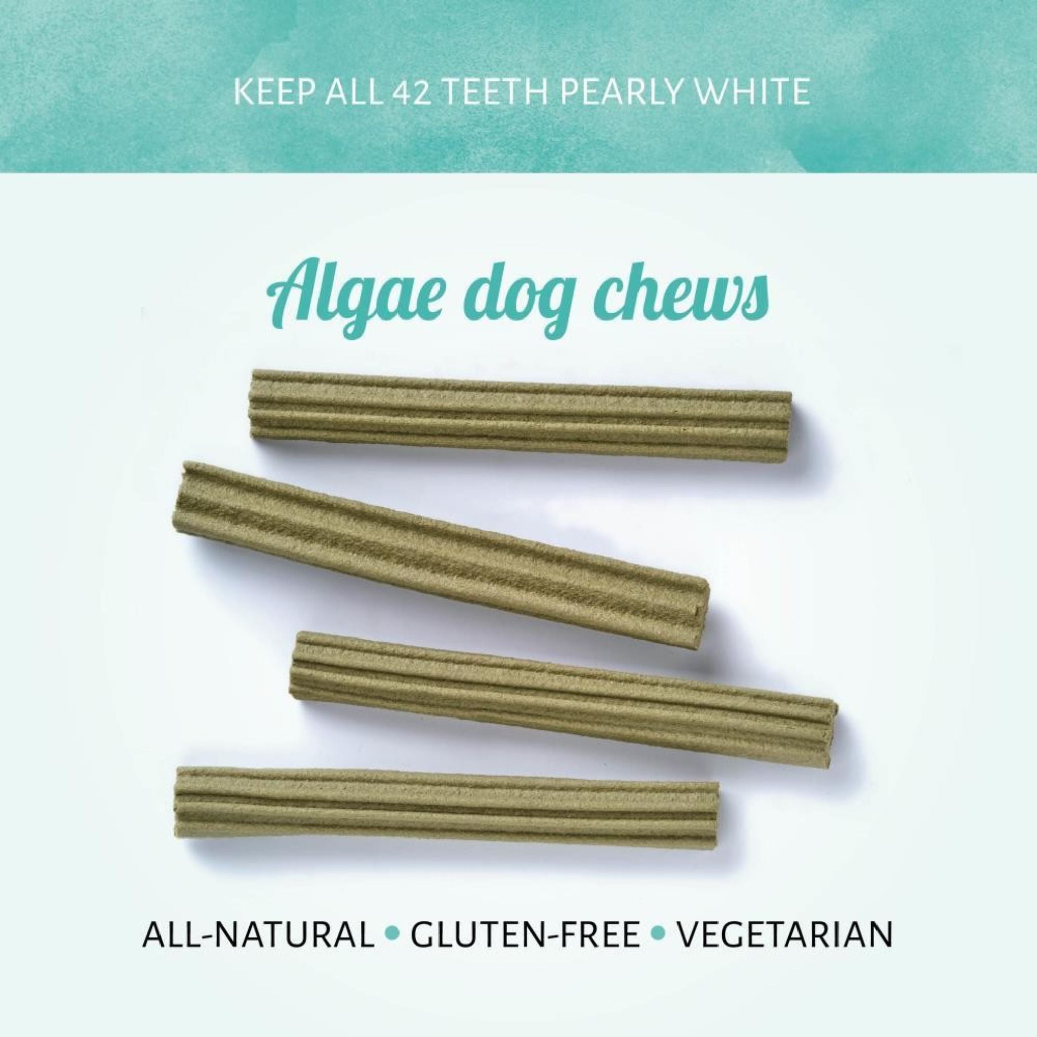 Antos Cerea vegane Kauartikel Hund | Algenkaustange Hund | Fairtails