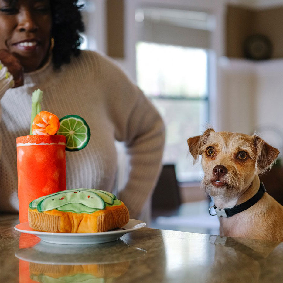 P.L.A.Y. Hundespielzeug Avocado  Toast - Nachhaltiges Spielzeug bei FairTails