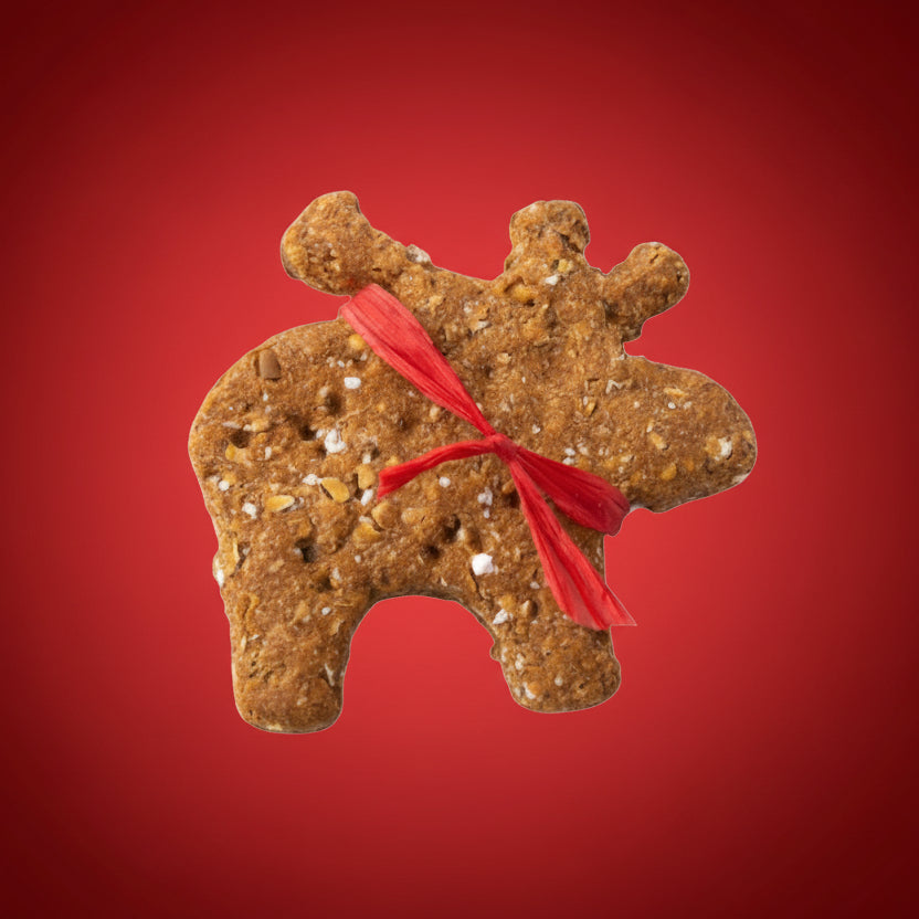 Christmas Moos - vegane Hundekekse bei Fairtails