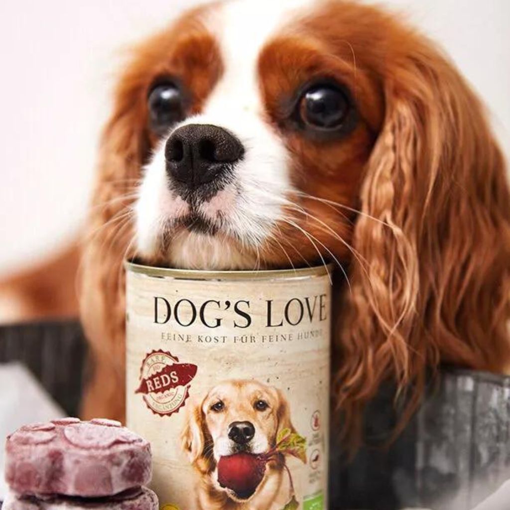 Dog´s Love Reds veganes Hundefutter  bei Fairtails