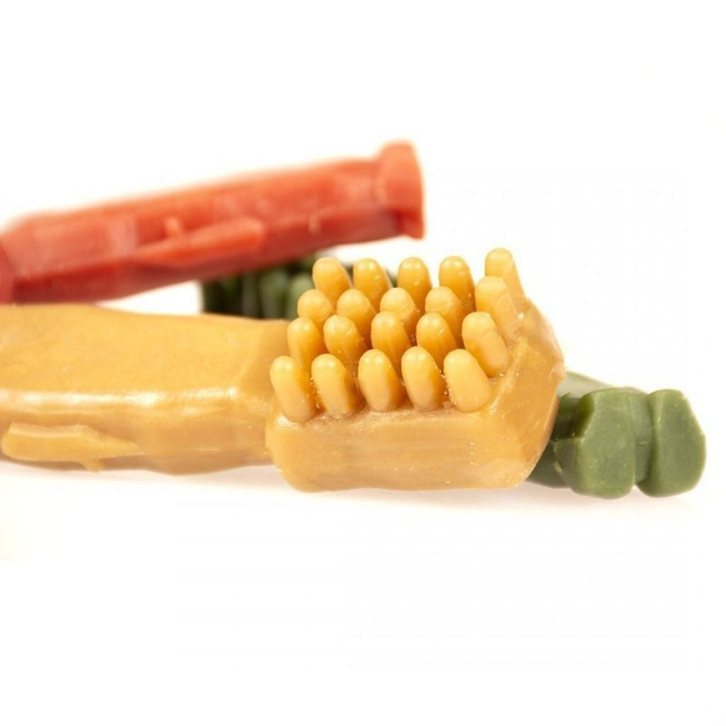 Veganer Kausnack für Hunde Garden Bites Toby Toothbrush bei Fairtails 