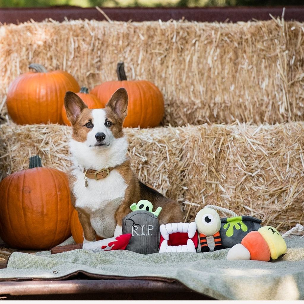 P.L.A.Y. Halloween Canine Corn Hundespielzeug bei Fairtails