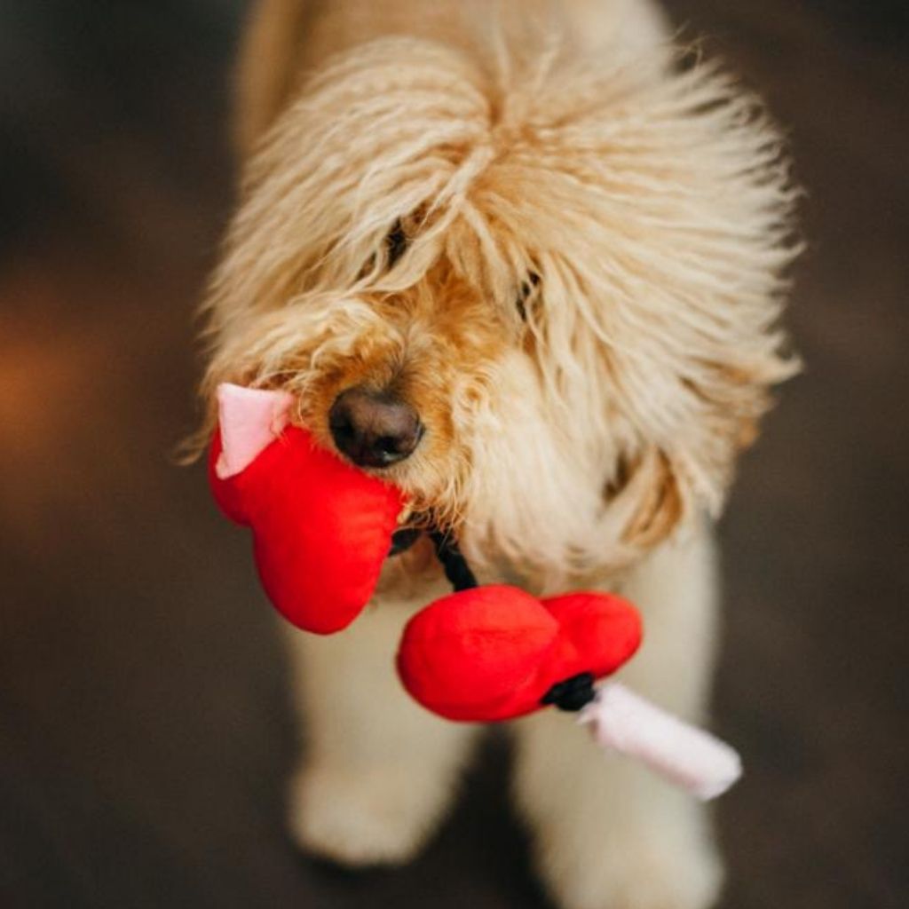 P.L.A.Y. Hundespielzeug Valentinstag Herz Hundespielzeug bei Fairtails