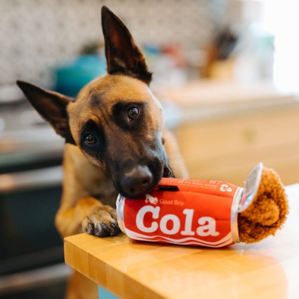 P.L.A.Y Hundespielzeug Coladose Good Boy Cola - Lustiges, nachhaltiges Hundespielzeug bei Fairtails