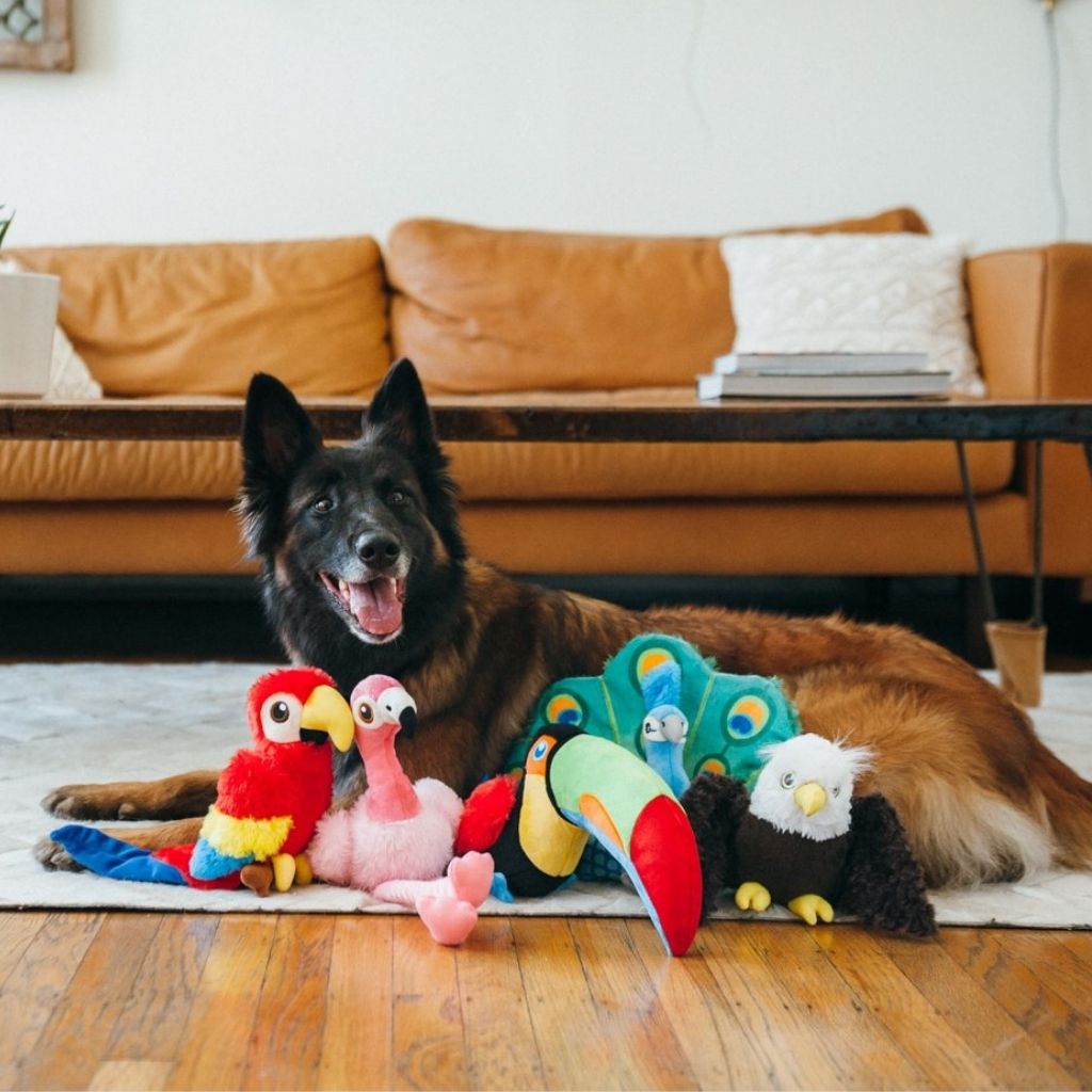 P.L.A.Y. Hundespielzeug Pfau- nachhaltiges Hundespielzeug bei Fairtails