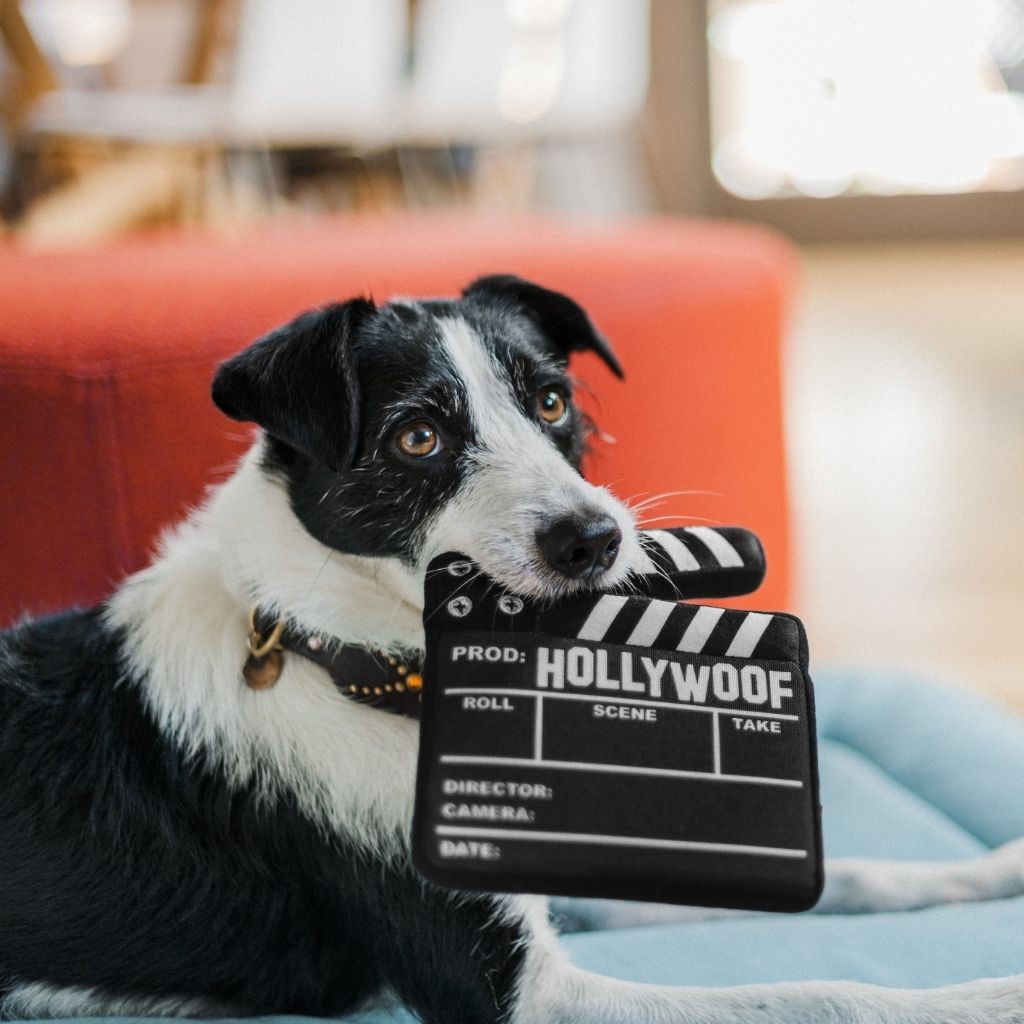 P.L.A.Y.  Hundespielzeug  Filmklappe - nachhaltiges Hundespielzeug bei Fairtails