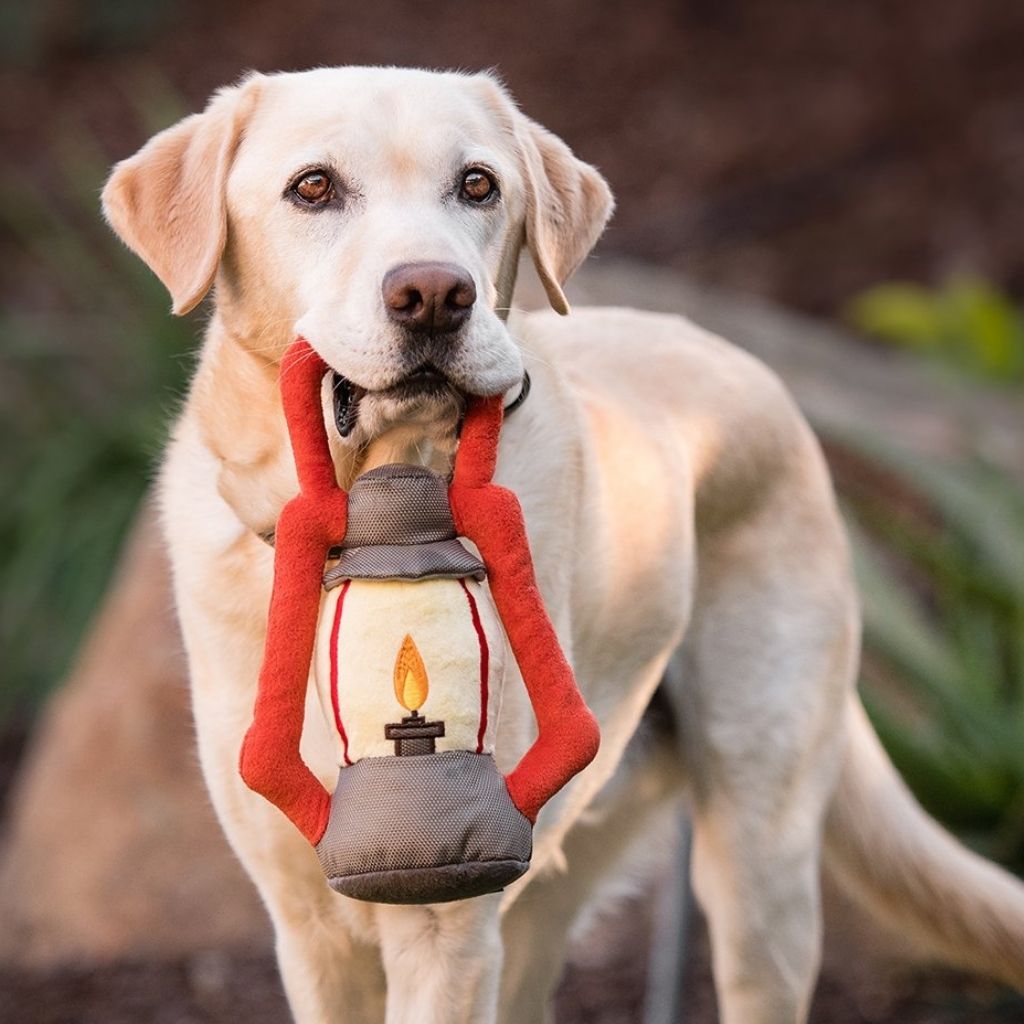 P.L.A.Y. Hundespielzeug Laterne nachhaltiges Hundespielzeug bei Fairtails
