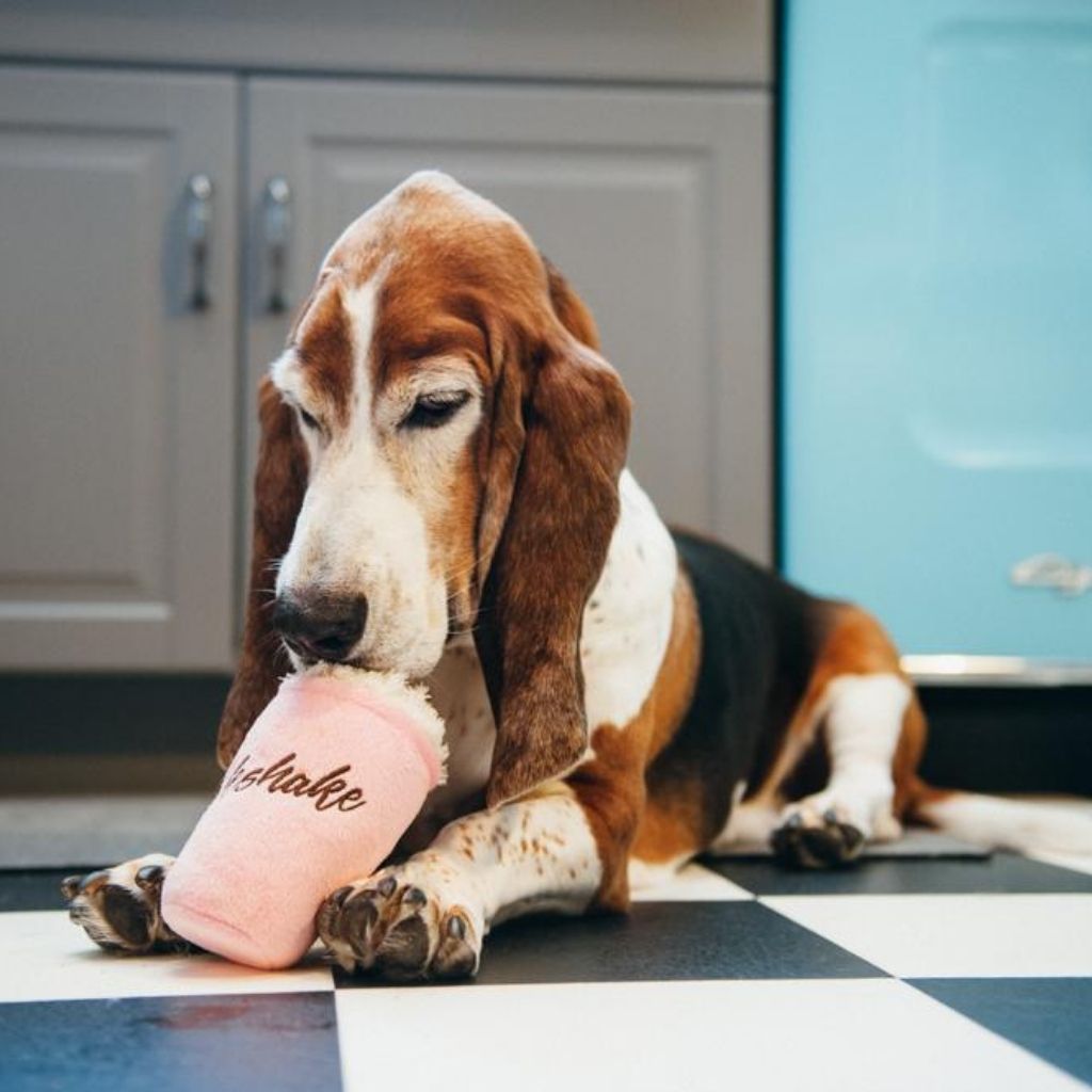 P.L.A.Y. nachhaltiges, recyceltes Hundespielzeug Milkshake bei Fairtails